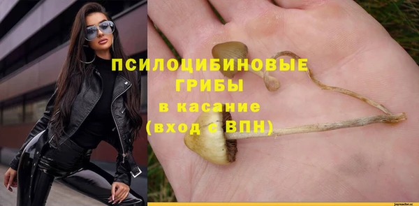 бошки Каменка