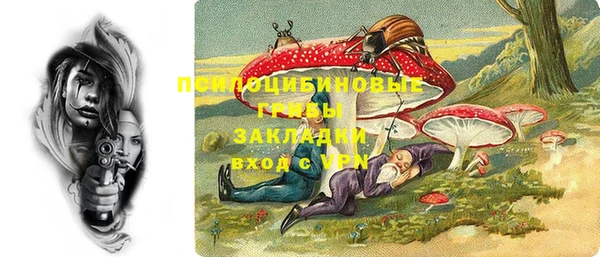 бошки Каменка